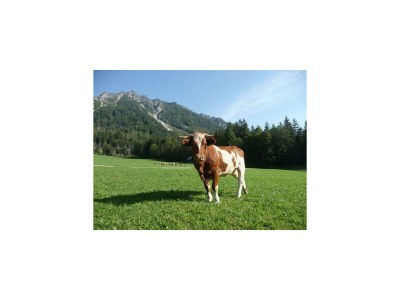 Holiday room Doppelzimmer mit Dusche, WC - Outdoor photo 3