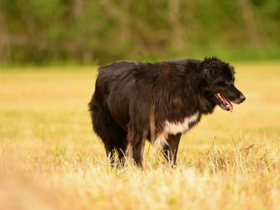 Holiday room Doppelzimmer mit Dusche, WC - Outdoor photo 11