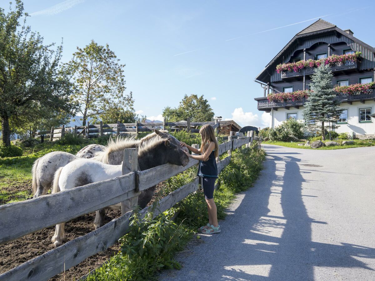 Apartment Fewo Dachstein - 1 Schlafzimmer, Dusche, WC - Outdoor photo 3