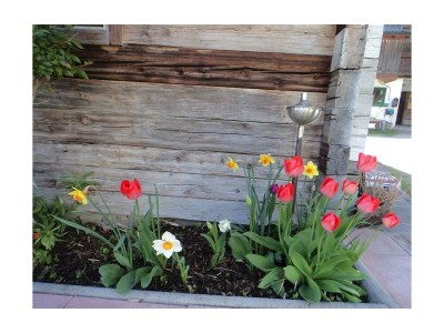 Apartment Fewo Dachstein - 1 Schlafzimmer, Dusche, WC - Outdoor photo 30