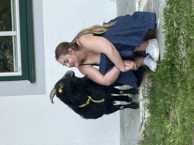 Apartment Fewo Dachstein - 1 Schlafzimmer, Dusche, WC - Outdoor photo 38