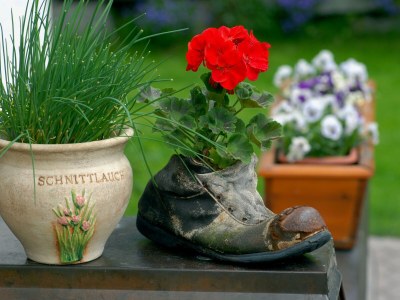 Holiday apartment house tasser - Features photo 16