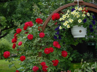 Holiday apartment house tasser - Features photo 17