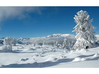 Holiday apartment house tasser - Environment photo 19