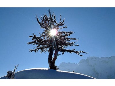 Holiday apartment house tasser - Environment photo 22