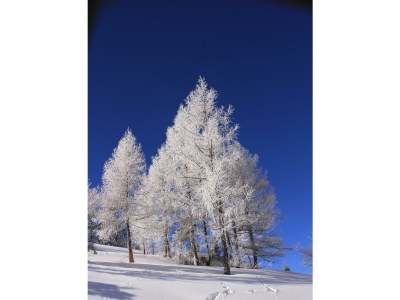 Apartment Appartement/Fewo, Dusche, WC, 1 Schlafraum - Outdoor photo 13