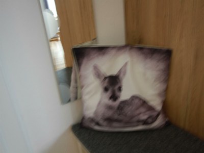 Apartment Appartement/Fewo, Dusche, WC, 1 Schlafraum - Features photo 31