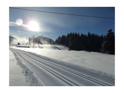 Apartment Appartement Planai - 2 Schlafräume, 2 Dusche, WC in Ramsau am Dachstein - Apartment