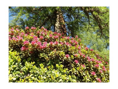 Apartment Appartement Planai - 2 Schlafräume, 2 Dusche, WC - Outdoor photo 9