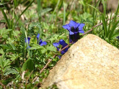 Apartment Appartement Planai - 2 Schlafräume, 2 Dusche, WC - Outdoor photo 11