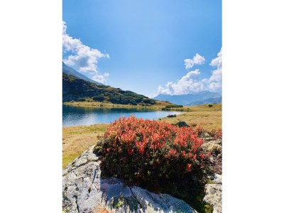 Apartment Appartement Planai - 2 Schlafräume, 2 Dusche, WC - Outdoor photo 17