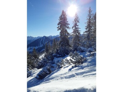 Apartment Appartement Planai - 2 Schlafräume, 2 Dusche, WC - Outdoor photo 33