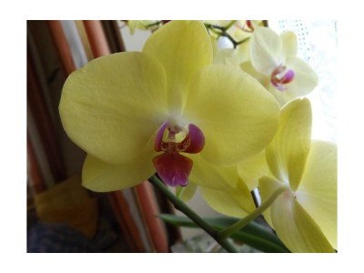 Apartment Appartement Planai - 2 Schlafräume, 2 Dusche, WC - Features photo 51