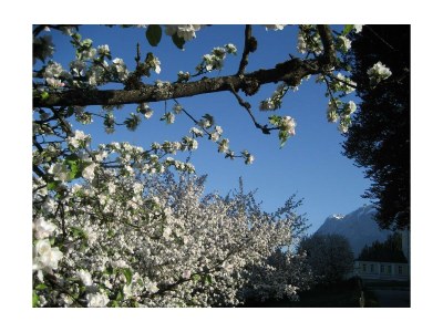 Apartment Apartment/2 Schlafräume/Dusche, WC - Outdoor photo 11