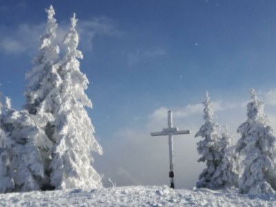 Apartment Apartment/2 Schlafräume/Dusche, WC - Features photo 20