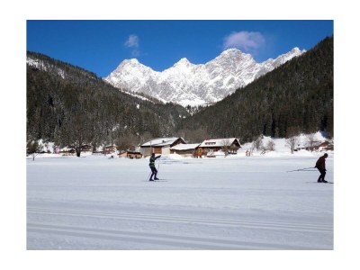 Apartment Ap./4 Schlafräume/Dusche, WC - Features photo 21