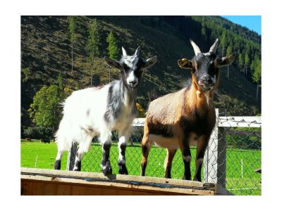 Apartment Ap./4 Schlafräume/Dusche, WC - Features photo 25