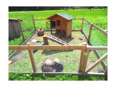 Apartment Ap./4 Schlafräume/Dusche, WC - Features photo 29