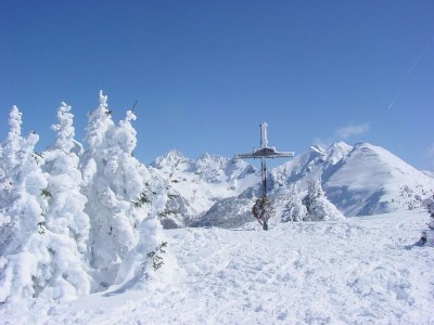 Holiday room Einzelzimmer mit Dusche, WC 16-20 m² - Outdoor photo 28