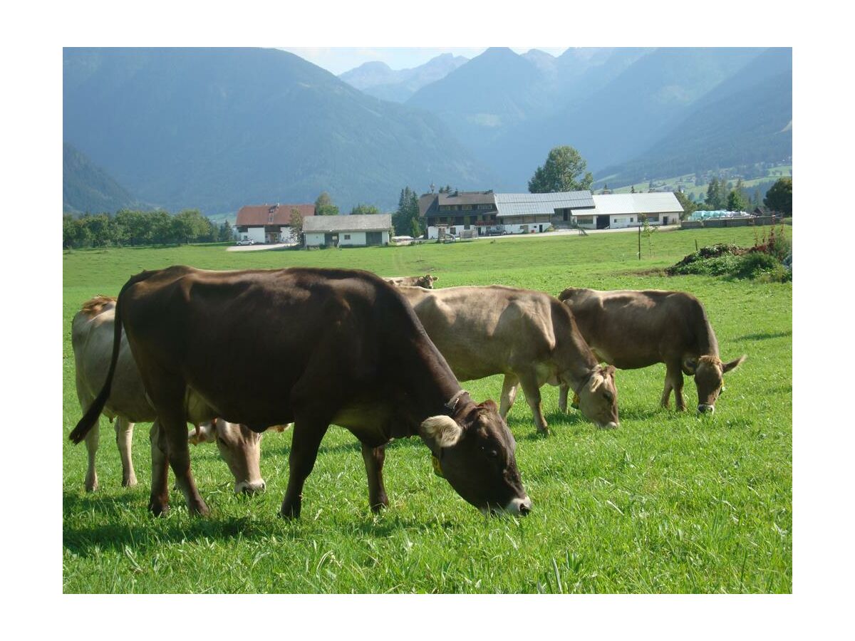 Holiday room Doppelzimmer mit Dusche, WC - Outdoor photo 2