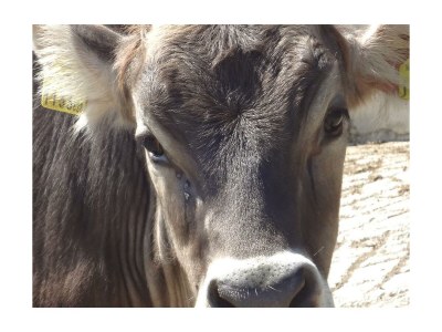 Holiday room Doppelzimmer mit Dusche, WC - Outdoor photo 16