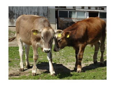 Holiday room Doppelzimmer mit Dusche, WC - Outdoor photo 17