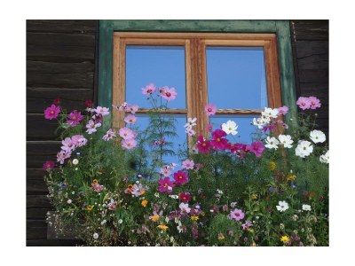 Holiday room Doppelzimmer mit Dusche, WC - Outdoor photo 20