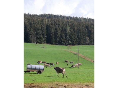 Holiday room Doppelzimmer mit Dusche, WC - Outdoor photo 26