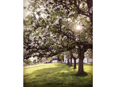 Holiday room Doppelzimmer mit Dusche, WC - Outdoor photo 30