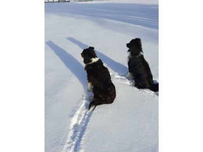 Holiday room Doppelzimmer mit Dusche, WC - Outdoor photo 37