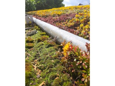 Holiday room Doppelzimmer mit Dusche, WC - Outdoor photo 39