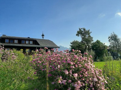 Holiday room Doppelzimmer mit Dusche, WC - Outdoor photo 41
