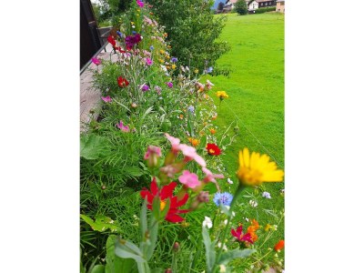 Holiday room Doppelzimmer mit Dusche, WC - Outdoor photo 47