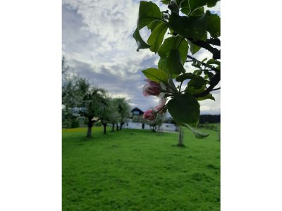 Holiday room Doppelzimmer mit Dusche, WC - Outdoor photo 56