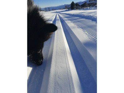 Holiday room Doppelzimmer mit Dusche, WC - Outdoor photo 62