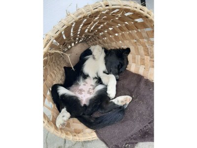 Holiday room Doppelzimmer mit Dusche, WC - Outdoor photo 63