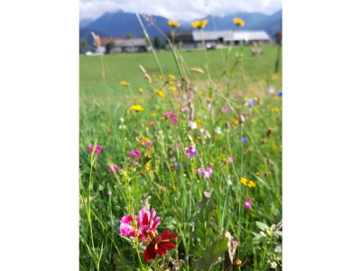 Holiday room Doppelzimmer mit Dusche, WC - Outdoor photo 67