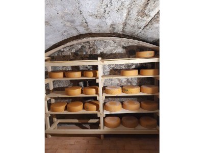 Holiday room Doppelzimmer mit Dusche, WC - Outdoor photo 75