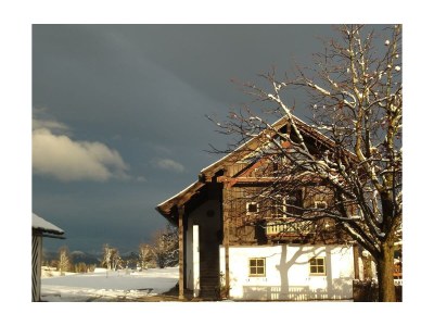 Apartment Apartment/1 Schlafraum/Dusche, WC in Ramsau am Dachstein - Apartment