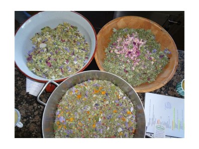 Apartment Apartment/1 Schlafraum/Dusche, WC - Outdoor photo 4