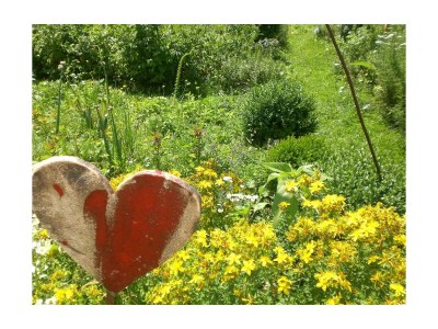 Apartment Apartment/1 Schlafraum/Dusche, WC - Outdoor photo 13