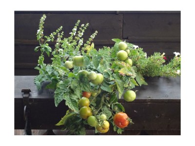 Apartment Apartment/1 Schlafraum/Dusche, WC - Outdoor photo 21