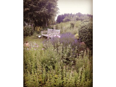 Apartment Apartment/1 Schlafraum/Dusche, WC - Outdoor photo 34