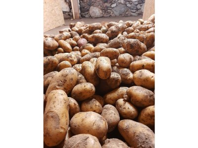 Apartment Apartment/1 Schlafraum/Dusche, WC - Outdoor photo 42