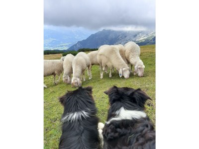 Apartment Apartment/1 Schlafraum/Dusche, WC - Outdoor photo 44