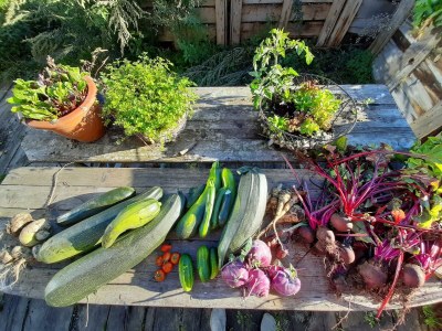 Apartment Apartment/1 Schlafraum/Dusche, WC - Outdoor photo 45