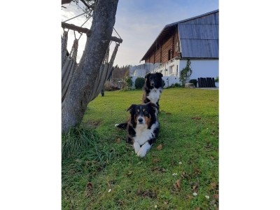 Apartment Apartment/1 Schlafraum/Dusche, WC - Outdoor photo 48