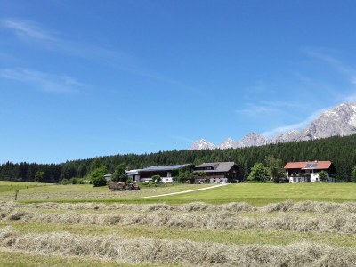 Apartment Apartment/1 Schlafraum/Dusche, WC - Outdoor photo 54