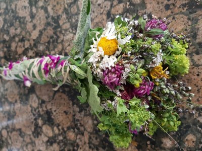 Apartment Apartment/1 Schlafraum/Dusche, WC - Outdoor photo 57