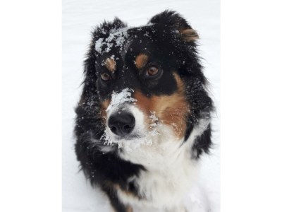 Apartment Apartment/1 Schlafraum/Dusche, WC - Outdoor photo 59